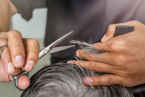 The hairdresser cuts the gray hair of a senior with scissors