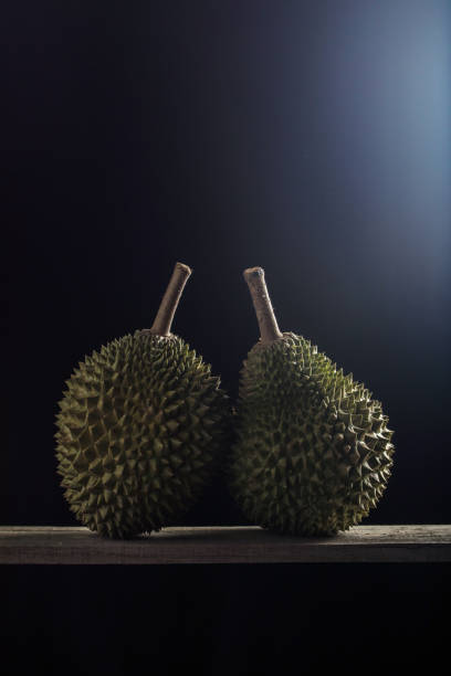 Musang King Durian