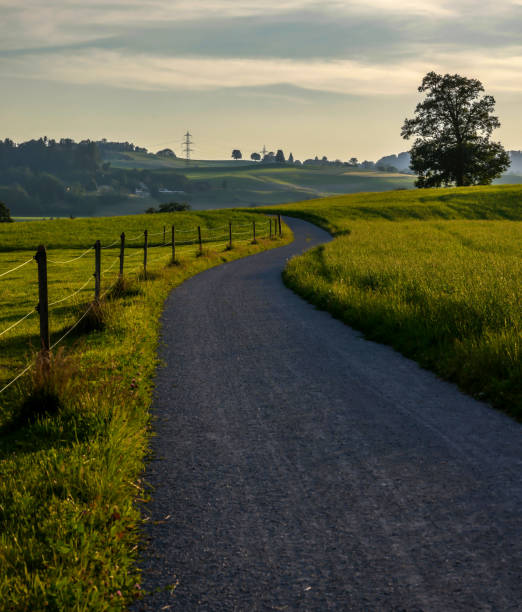 sentier de randonnée rural au coucher du soleil - footpath single lane road road farm photos et images de collection