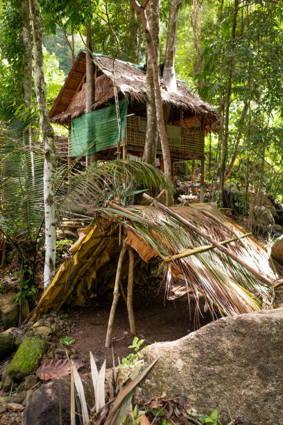 istock Bamboo House and Hut in the Rainforest 1404135673