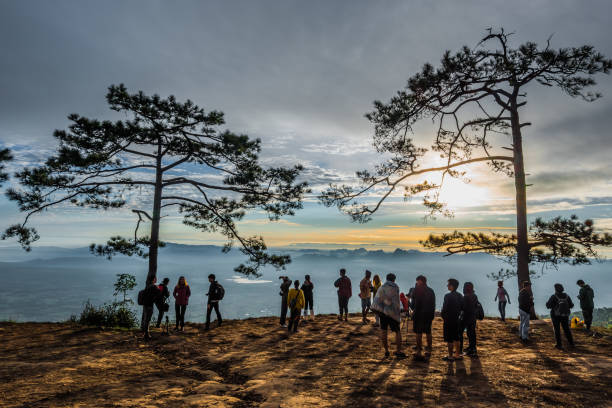 phu kradueng parco nazionale - open foto e immagini stock