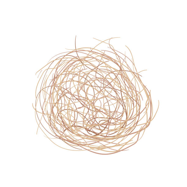 istock Western rolling stem of dead plant. Tumbleweed isolated on white background 1404137868