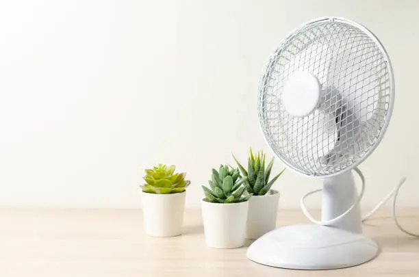 Photo of Table fan and succulent flowers. Closeup. Cooling in the room in hot weather