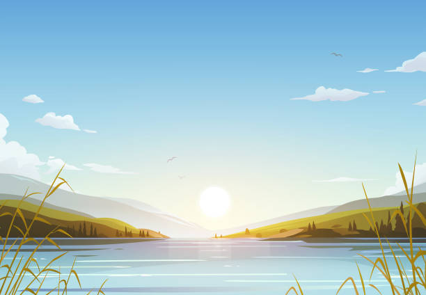 ilustraciones, imágenes clip art, dibujos animados e iconos de stock de lake sunrise - landscape fir tree nature sunrise