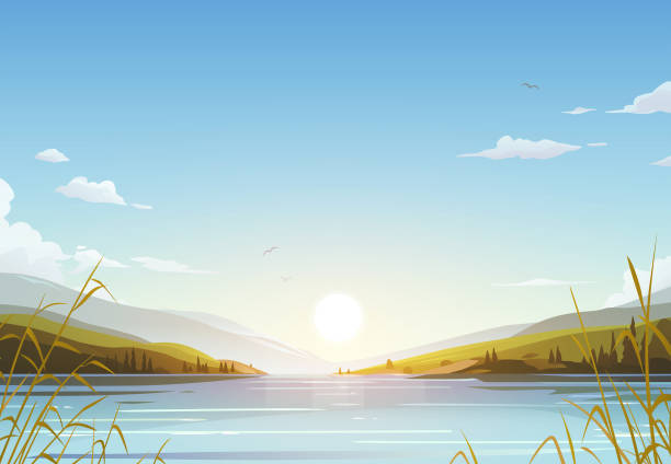 wschód słońca nad jeziorem - landscape fir tree nature sunrise stock illustrations
