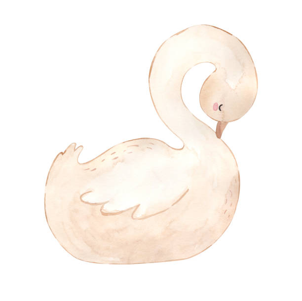 Swan Cartoon Stock Photos, Pictures & Royalty-Free Images - iStock