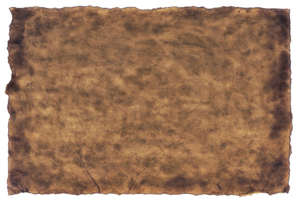 istock old parchment paper sheet vintage aged or texture isolated on white background 1404149782