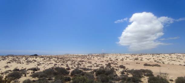 istock Fuerteventura, corralejo 1404150835