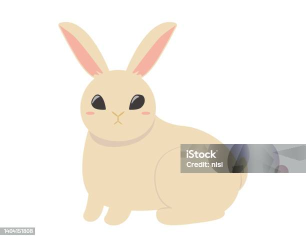 Cute Rabbit Vector Stock Cute Rabbit vector Illustration Stock Illustration - Download Image Now ...