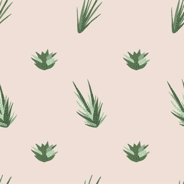 Vector flat hand drawn seamless pattern Vector flat hand drawn seamless pattern with houseplant gasteria stock illustrations