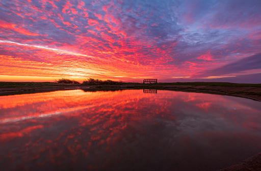High clouds and brilliant colourful dawn sky at Warren Hill South Downs near Eastbourne east Sussex south east England