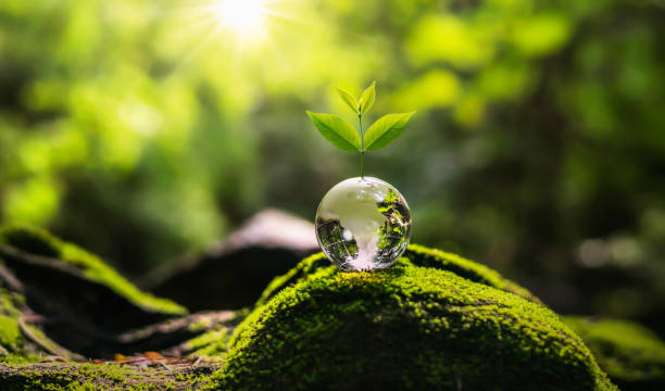 istock tree growth on globe glass in nature. concept eco earth day 1404158111