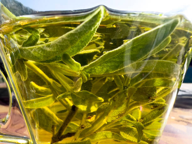 Freshly made a cup of sage tea It is believed that sagebrush is healing plant. Captured with Iphone 13 pro max sage photos stock pictures, royalty-free photos & images