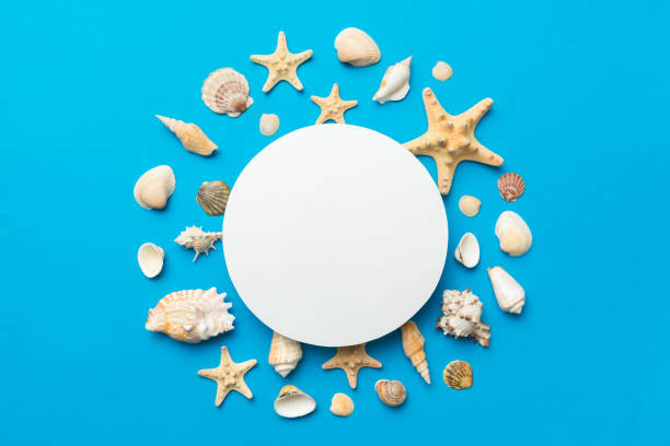 istock Summer time concept with blank greeting card and blank white paper on colored background. Seashells from ocean shore in the shape of frame separated with space for text top view 1404160272