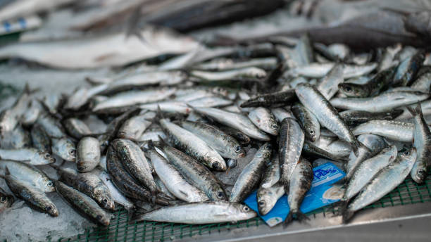 istock fish market fresh eat 1404161426