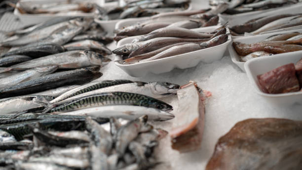 istock fish market fresh eat 1404161456