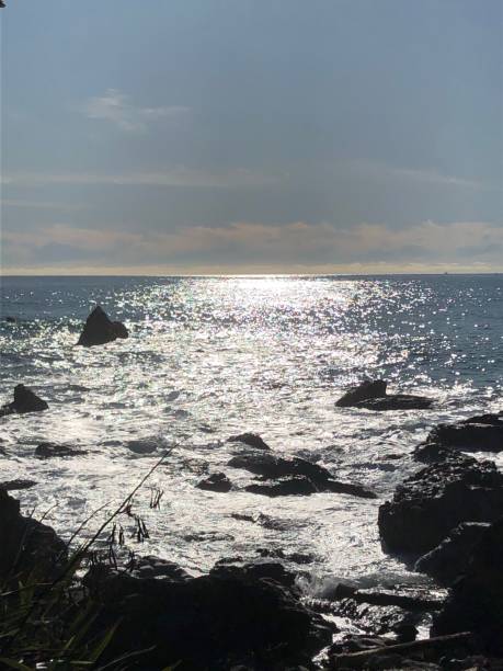 istock Looking out to sea 1404163061