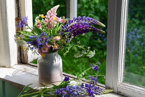 Dying multicolored Daisy flowers in a glass vase on a wooden table