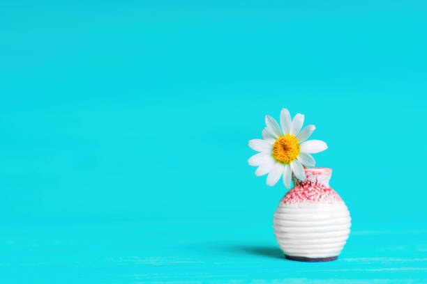 jeden kwiat stokrotki w maleńkim ceramicznym wazonie na niebiesko - blue chamomile zdjęcia i obrazy z banku zdjęć