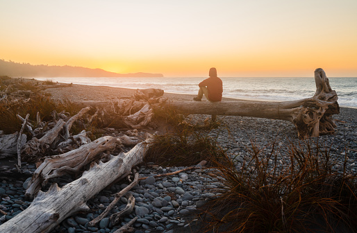 The shot of a man on beach enjoying outdoor sitting on log at beach.