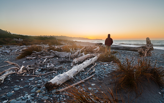 The shot of a man on beach enjoying outdoor standing watching sunset.
