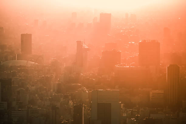Tokyo buildings and dusk sky