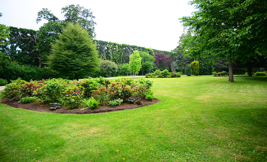 Beautiful garden landscape design with trees, lawn, flowerbed and hedge.