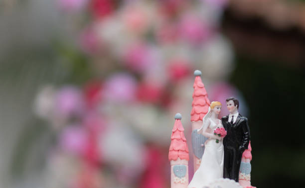 Custom Wedding Dolls - Bridal Party