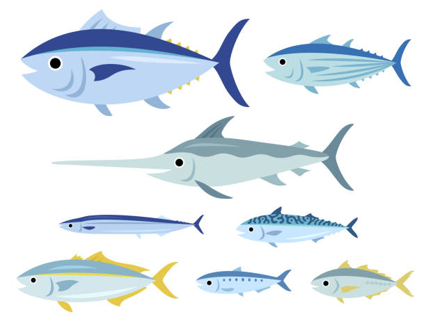 illustrazioni stock, clip art, cartoni animati e icone di tendenza di set di illustrazioni di pesci - tuna