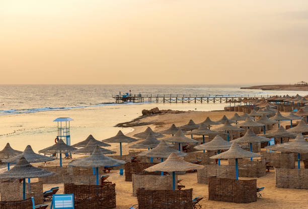 istock Empty Sandy Beach near Marsa Alam - Red Sea Egypt Africa 1404170332