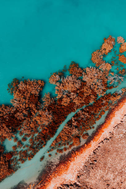 Colours of Australia