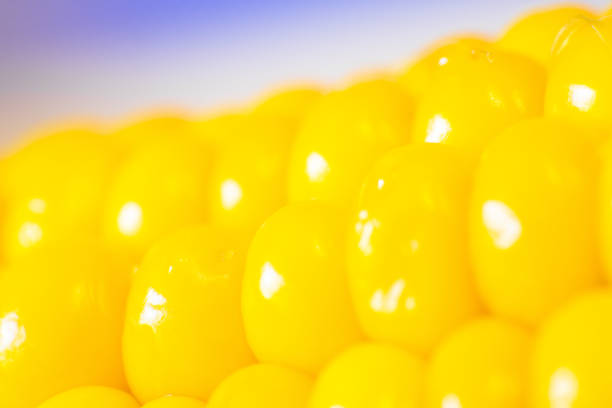 Yellow corn as close up stock photo
