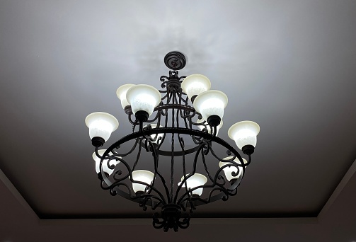 Decorative lights found on the ceiling of a minimalist house with an architectural style of blooming flowers