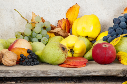 Autumn Fruits and Vegetables on white Background
