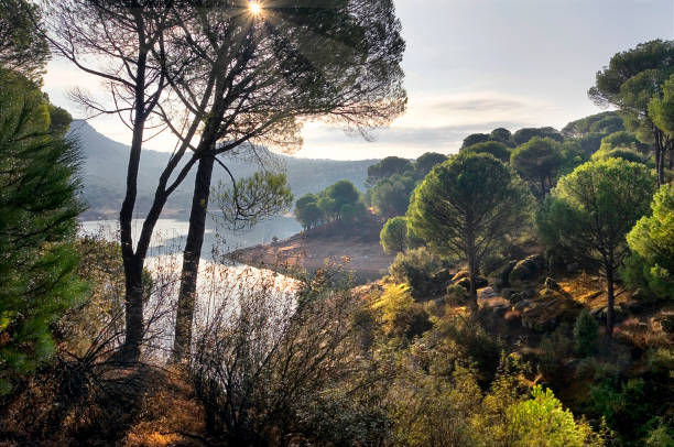 istock Pantano de San Juan. 1404181058