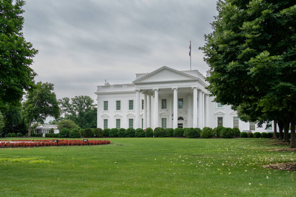 ホワイトハウスの正面図と曇り空のある緑の芝生 - white house 写真 ストックフォトと画像