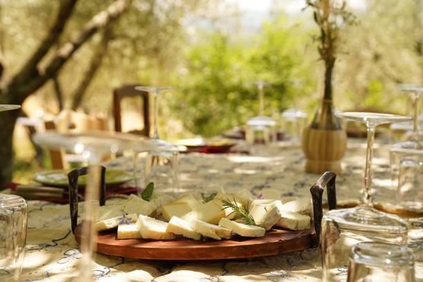 tagliere di formaggi di pecora e degustazione di vini biologici nella regione del chianti - formaggio di pecora foto e immagini stock