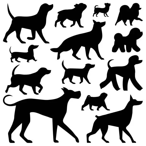 Vector illustration of Most Popular Dog Breeds Set in Outline