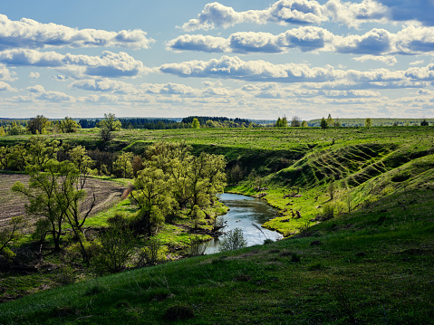 Green spring landscape with river, trees and ravine