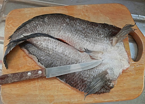 Cutting Snakehead Fish - food preparation.