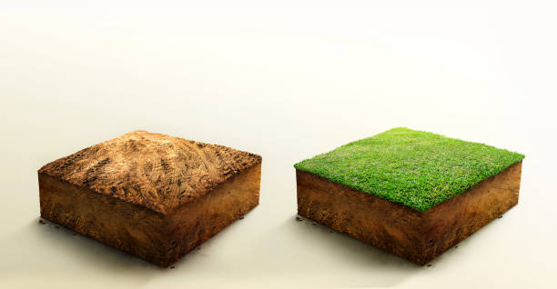 istock Collection, cubical soil ground cross section with earth land and green grass, Soil layers. realistic 3D rendering ground ecology. 1404193409