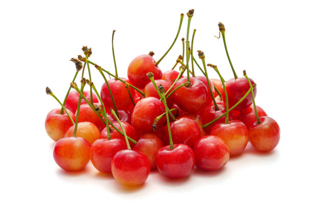 istock Japanese cherries, Fresh sweet cherries 1404196101