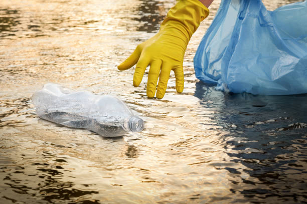 istock Collect garbage beach. Cleaning trash beach waste plastic PET bottle plastic pollution. Volunteer cleaning river trash pick up litter picking. Picking up garbage water plastic nature. Collecting trash 1404197349