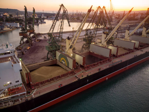 Aerial view of big cargo ship bulk carrier is loaded with grain of wheat in port at sunset stock photo