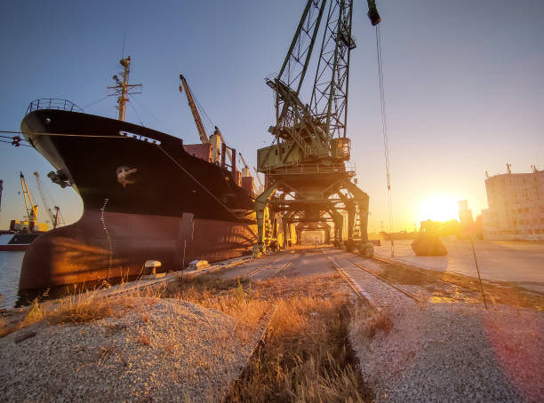 istock cargo ship bulk carrier is loaded with grain of wheat in port at sunset 1404200340