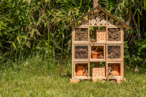 Insect house in the garden. Bug hotel at the park with plants and flowers in Switzerland. Protection.