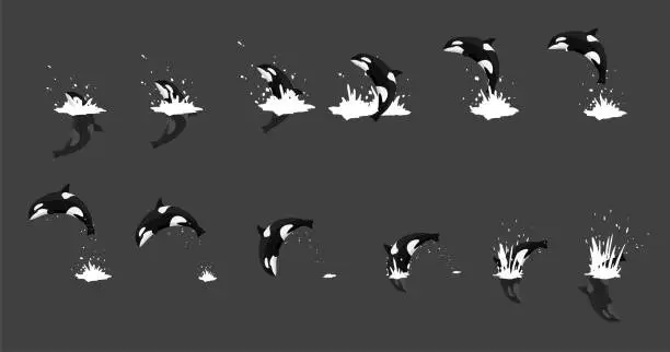 Vector illustration of Animal Animation Orca Jumping Cartoon Vector