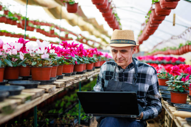 istock Small business owner working on laptop between plants in his greenhouse 1404204708