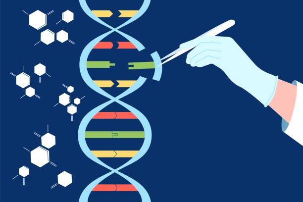 illustrazioni stock, clip art, cartoni animati e icone di tendenza di ingegneria del dna. crispr cas9, editing genetico e manipolazione. modificazione genetica, biochimica e medicina. esperimenti sul genoma umano concetto di vettore recente - deformato