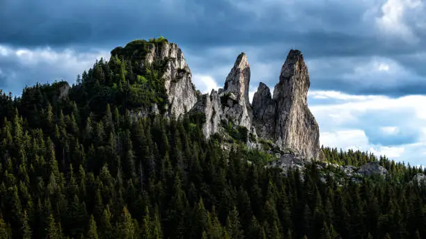 Rarau Mountains, Eastern Carpathians, Romania.